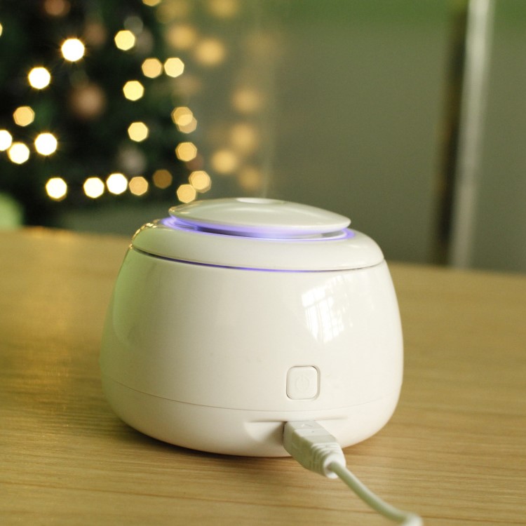 Rice Cooker Mini USB Humidifier