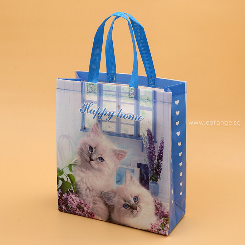 A4 A3 Size Non-Woven Bag with Lamination