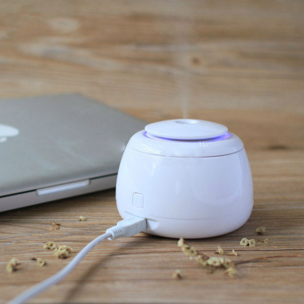 Mini Rice Cooker  USB Humidifier